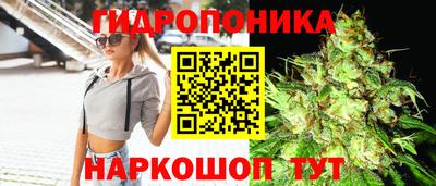 эйфоретик Лесосибирск