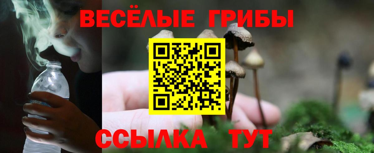 Псилоцибиновые грибы прущие грибы  Вход с VPN  купить наркотик  Псилоцибиновые грибы Psilocybe  Калач-на-Дону 